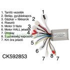36V elektromos kerékpár vezérlő elektronika (CK592853) - 06705125161